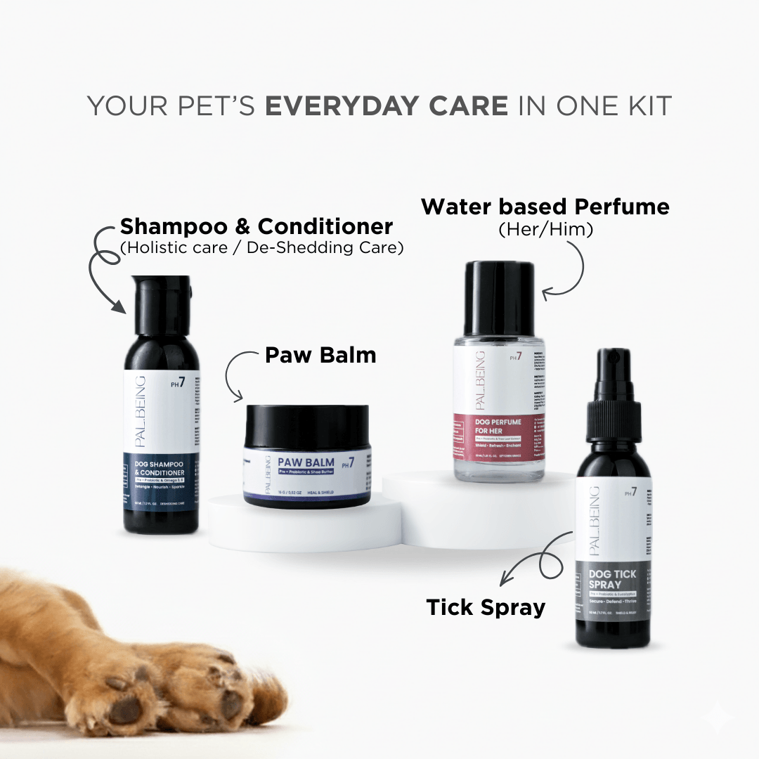 Care Kit for Him