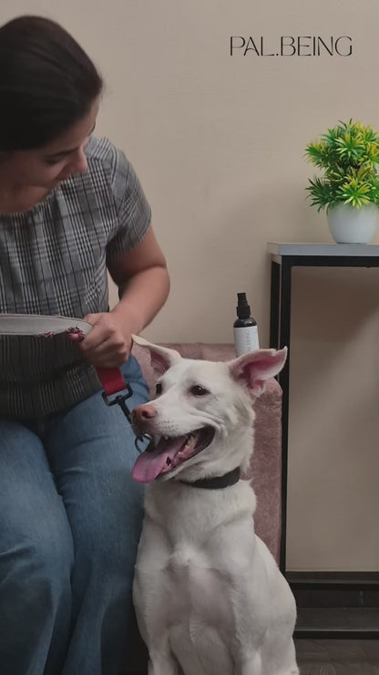 Probiotics Dog Tick &amp; Flea Spray | Shield &amp; Relief